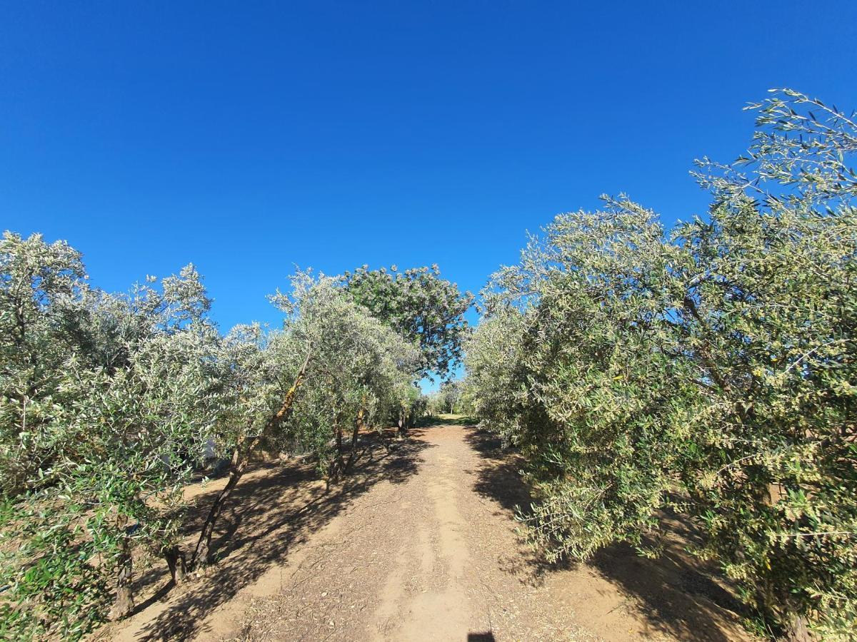 Villaluna Marchena מראה חיצוני תמונה