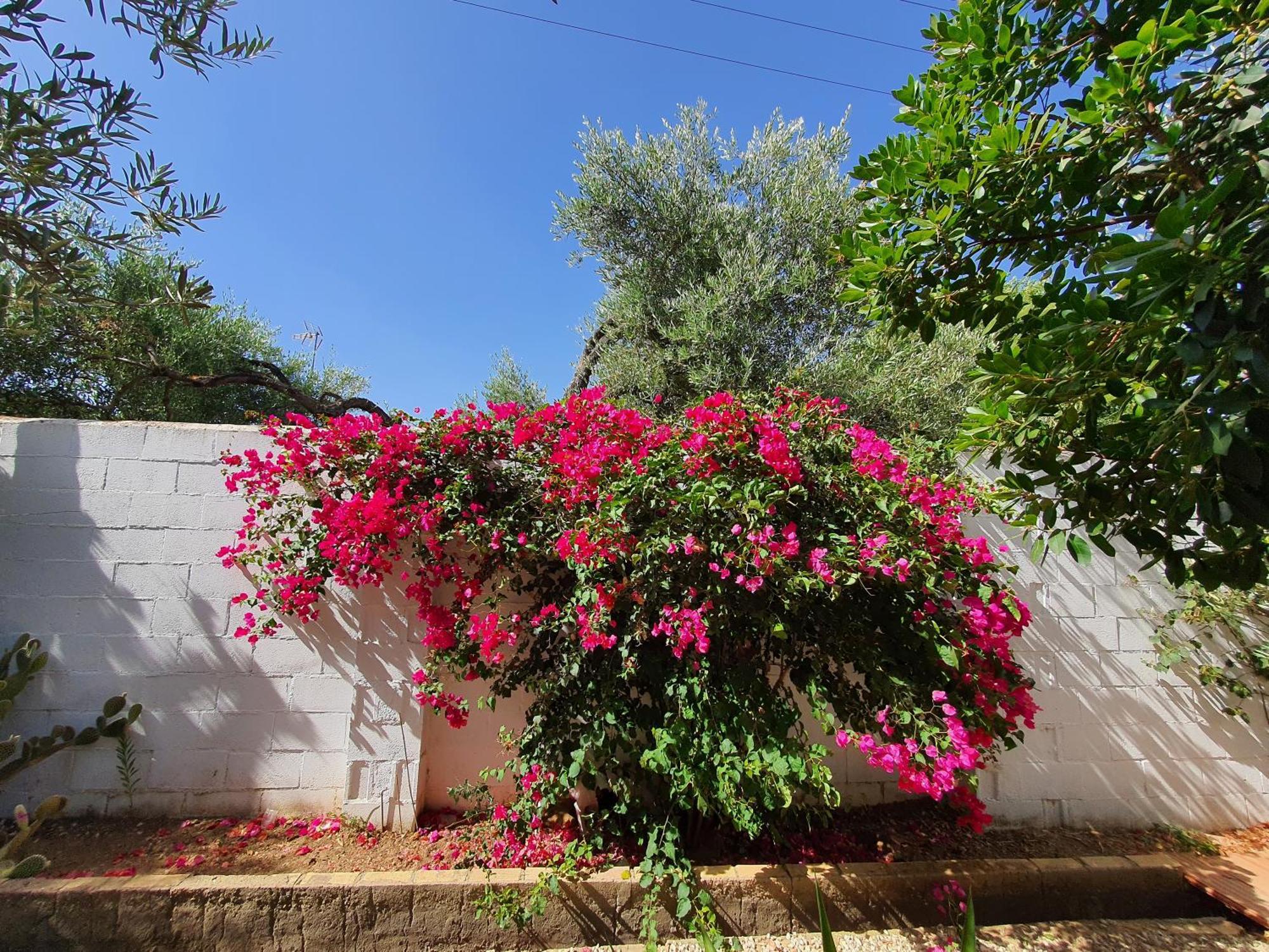Villaluna Marchena מראה חיצוני תמונה